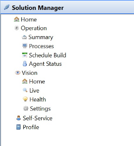 Solution Manager Topic