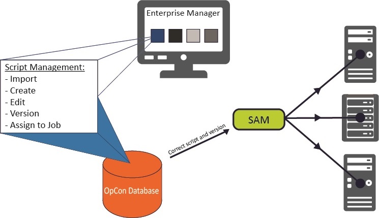 Embedded Scripts Overview