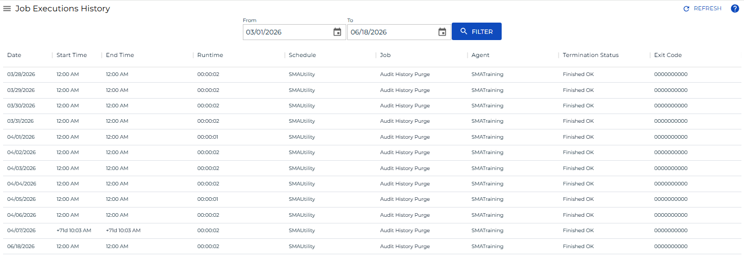 Job Executions History in Solution Manager