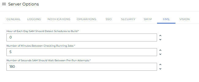 A screen showing time settings under server options